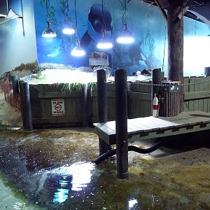 Sand Shark Lagoon (Smooth Dogfish Pool)