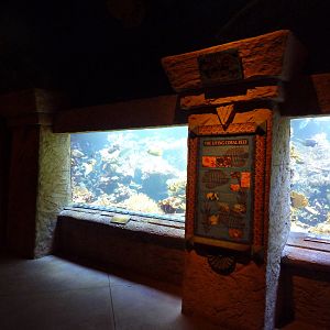 Coral Reef Exhibit