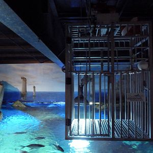 Shark Tank - Diving Cage