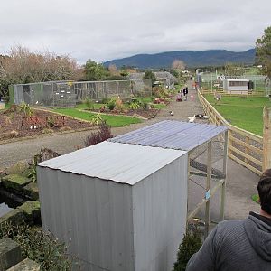 Overview - Pouakai Zoo
