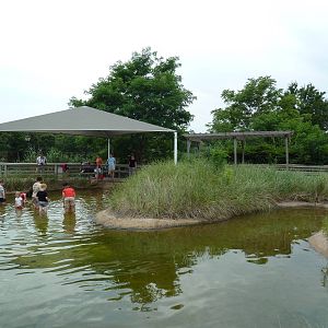 Tidal Marsh Exhibit