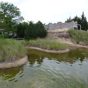 Tidal Marsh Exhibit