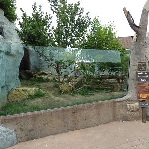 River Otter Exhibit