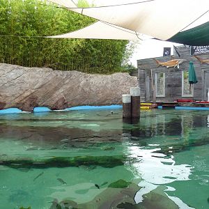 Shark Reef Lagoon
