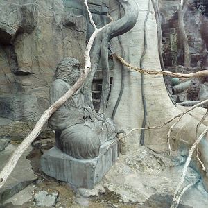 Japanese Macaque Exhibit