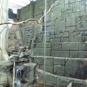 Japanese Macaque Exhibit