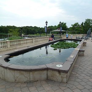 Koi Pond (With Penguin Pavilion statues in the distance)
