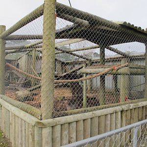Bonnet Macaque Enclosure - Pouakai Zoo