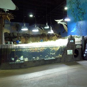 Changing Tides Exhibit