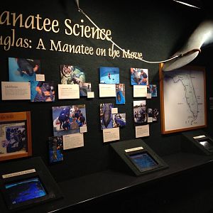 Aug. 2012-Manatee Science area
