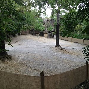 Aug. 2012-Grevy's Zebra exhibit