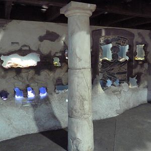 Crab Villa - Crustacean Exhibits