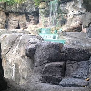 Aug. 2012-Polar Bear exhibit from den viewing