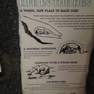 Aug. 2012-Polar Bear sign