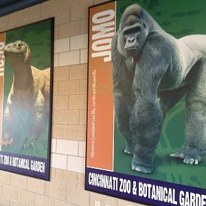 Aug. 2012-Jomo, and Hudo signs