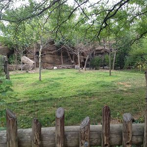 Aug. 2012-Okapi/Yellow-backed Duiker exhibit