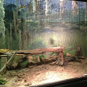 Aug. 2012-Palmetto Scrub exhibit