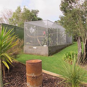 Galah Aviary - Pouakai Zoo