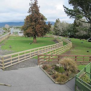 Paddocks - Pouakai Zoo