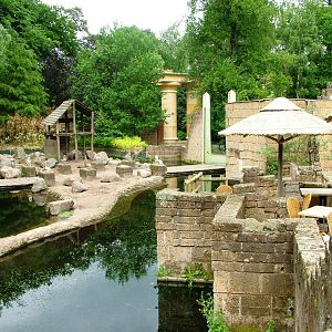 Baboon/Sheep Exhibit at Amersfoort, 01/06/12
