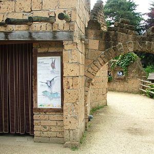 Ancient City at Amersfoort, 01/06/12