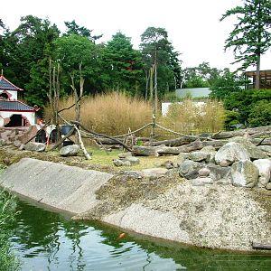 Macaque Exhibit at Amersfoort, 01/06/12