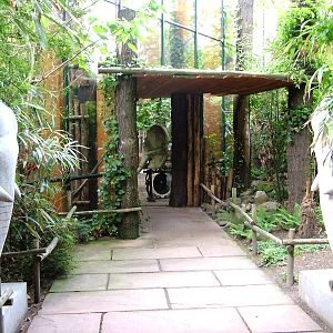 Elephant House at Amersfoort, 01/06/12