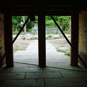 Elephant House at Amersfoort, 01/06/12