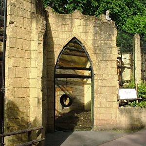 Macaque Exhibit at Amersfoort, 01/06/12