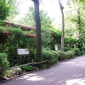 Aviaries at Amersfoort, 01/06/12