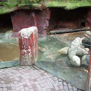 Coypu Exhibit at Amersfoort, 01/06/12