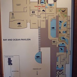 Bay + Ocean Pavilion Map