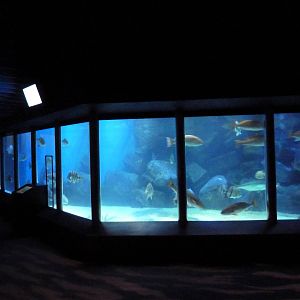 Chesapeake Bay Exhibit