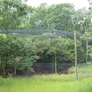 Half-Acre Walk-Through Aviary