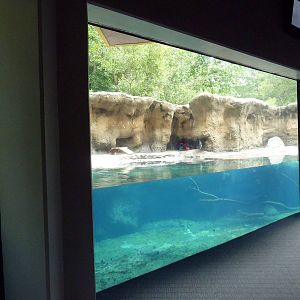 Marsh Pavilion - River Otter Exhibit