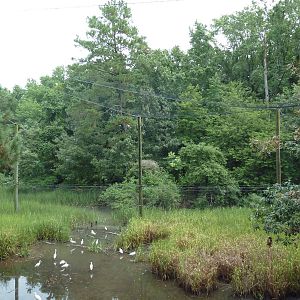 Half-Acre Walk-Through Aviary