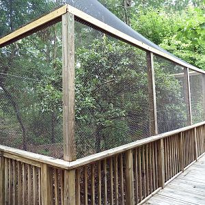 Half-Acre Walk-Through Aviary - Great Horned Owl Exhibit