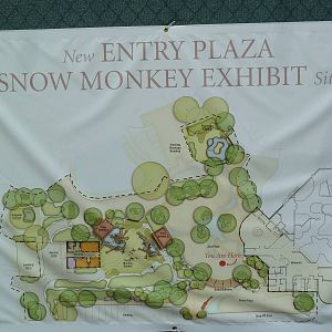Future Japanese Macaque Exhibit