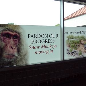 Future Japanese Macaque Exhibit