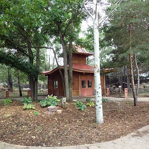 Asian Cats - Entrance Plaza