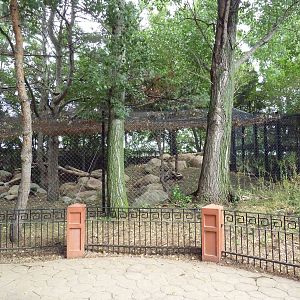 Asian Cats - Snow Leopard Exhibit