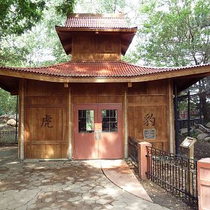 Asian Cats - Amur Tiger/Snow Leopard Viewing Building