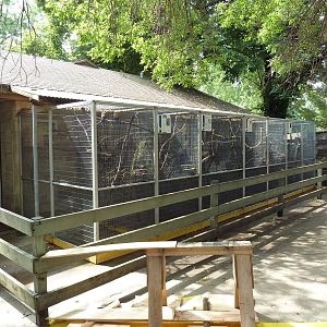 Tropical Bird Aviaries