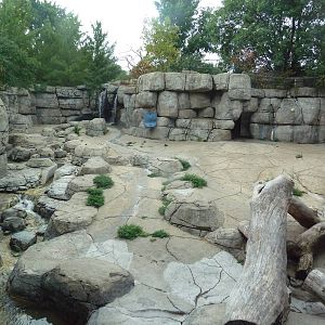 Grizzly Bear Exhibit