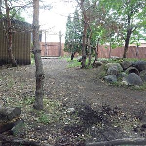 Giant Anteater Exhibit