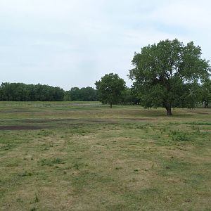 Bison/Pronghorn Antelope Exhibit
