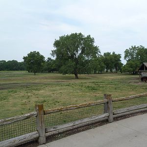 Bison/Pronghorn Antelope Exhibit