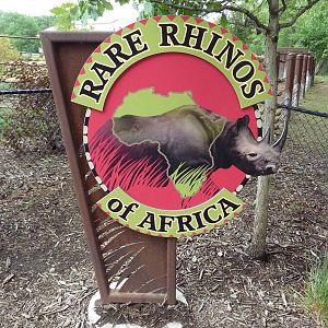 Rare Rhinos of Africa - Entrance Sign