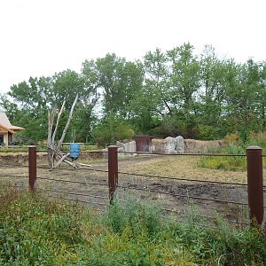 Rare Rhinos of Africa