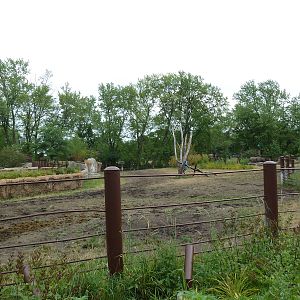 Rare Rhinos of Africa